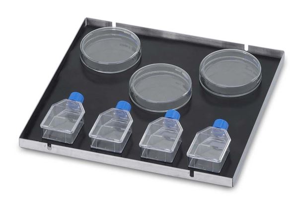 Culture Platform with Mat, 46 X 61 cm - 30400067