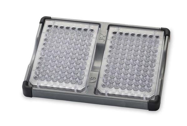 Double Microplate Holder - 30400213