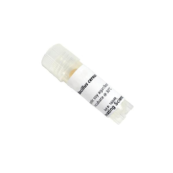 Enterobacter Aerogenes Freeze Dried Culture W/O Transfer Media -IS3809