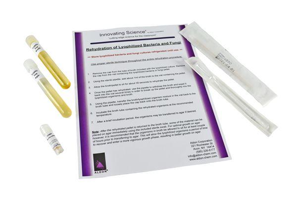 Bacillus Subtilis Freeze Dried Culture With Transfer Media -IS3901