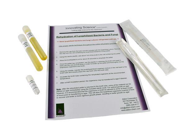 E. Coli Freeze Dried With Transfer Media -IS3902