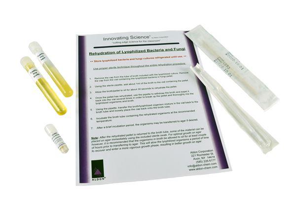 Micrococcus Luteus Freeze Dried Culture W/Transfer Media -IS3903