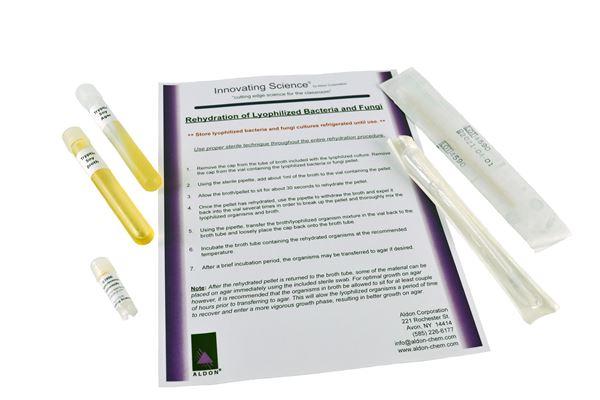 Staphylococcus Epidermidis Freeze Dried With Transfer Med -IS3906