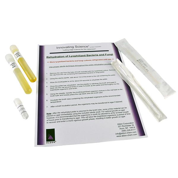 Enterobacter Aerogenes Freeze Dried Culture With Transfer Media -IS3909