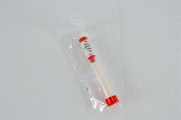 Erythromycin 15mcg 50 Discs- XD1397