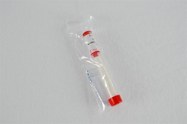 Neomycin 30mcg 50 Discs- XD1398