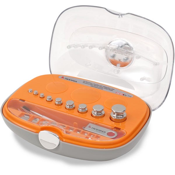 Weight Set OIML 100g-1g CLF2 Accrd TR - 30390847