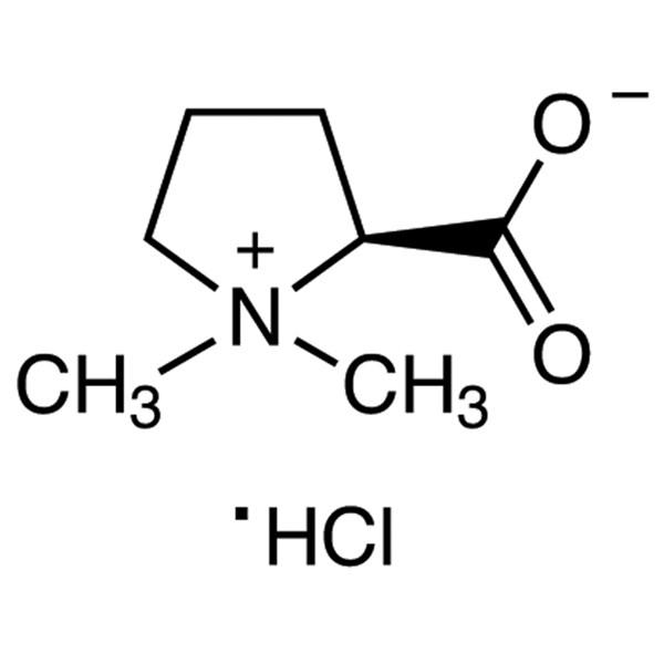 Stachydrine Hydrochloride, 10MG - S0358-10MG